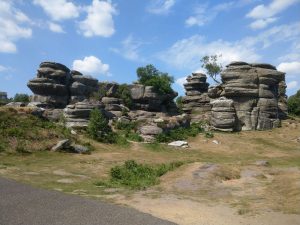 Brimham Rocks (NT)