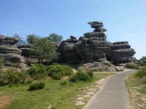 Brimham Rocks (NT)