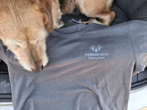 All I got is this lousy tshirt (embroidered, not printed)