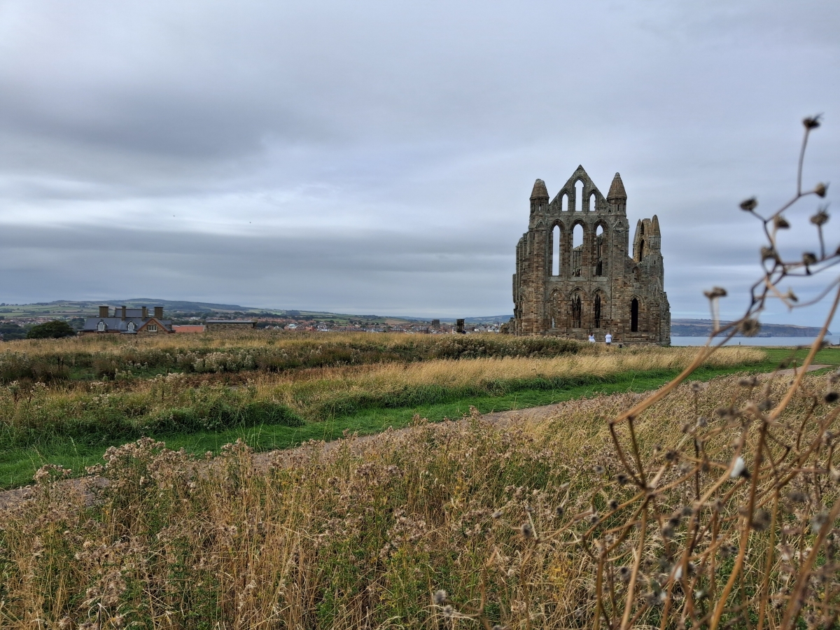 Whitby Abbey Whitby Abbey
